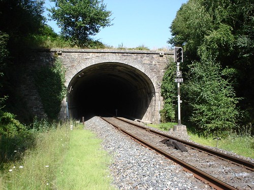 233258442_1996fdd7ca